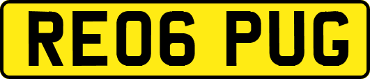 RE06PUG