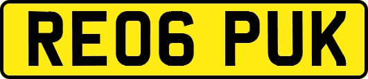 RE06PUK