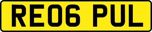RE06PUL