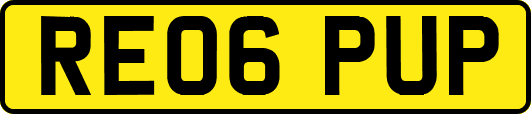 RE06PUP