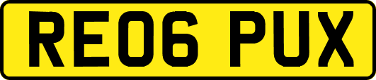 RE06PUX