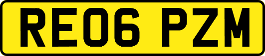 RE06PZM