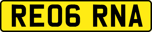 RE06RNA