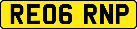 RE06RNP