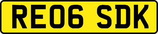 RE06SDK