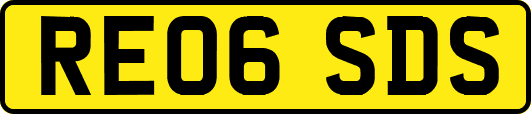 RE06SDS