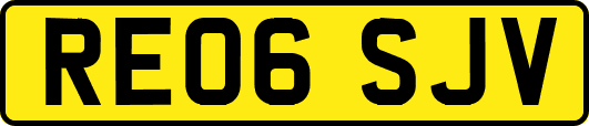 RE06SJV