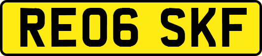 RE06SKF
