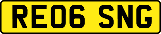 RE06SNG