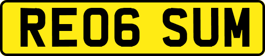RE06SUM
