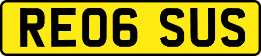 RE06SUS