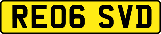 RE06SVD
