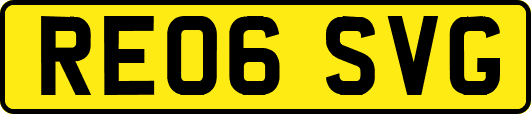 RE06SVG