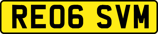 RE06SVM