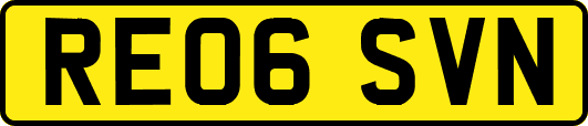 RE06SVN