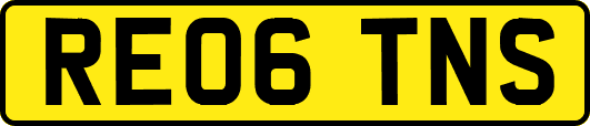 RE06TNS