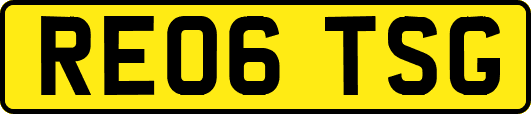 RE06TSG