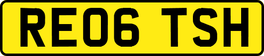 RE06TSH