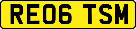 RE06TSM