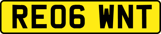 RE06WNT