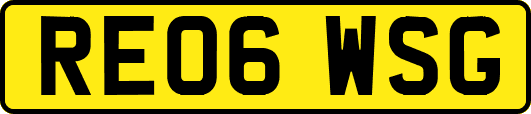 RE06WSG
