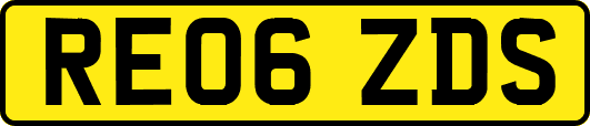 RE06ZDS