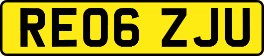 RE06ZJU
