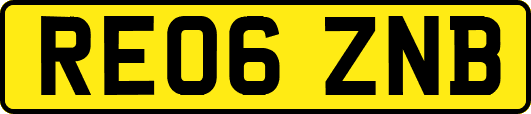 RE06ZNB