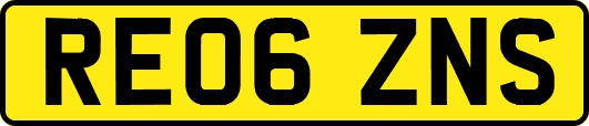 RE06ZNS