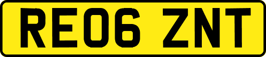 RE06ZNT