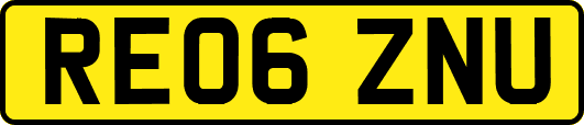 RE06ZNU