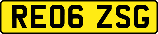 RE06ZSG