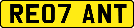 RE07ANT