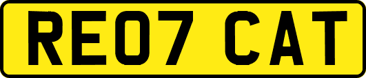 RE07CAT