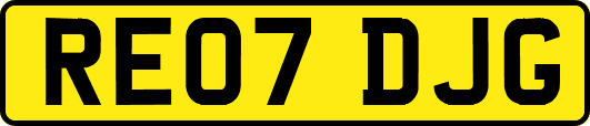 RE07DJG