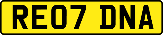 RE07DNA