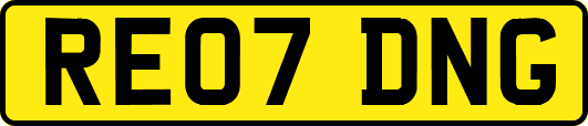 RE07DNG