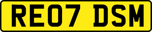 RE07DSM