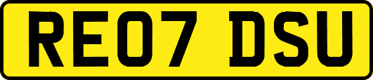 RE07DSU
