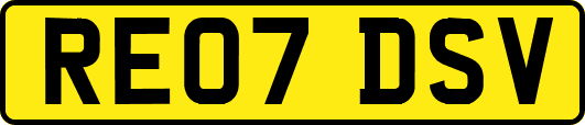 RE07DSV
