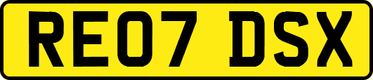 RE07DSX