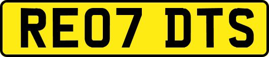 RE07DTS