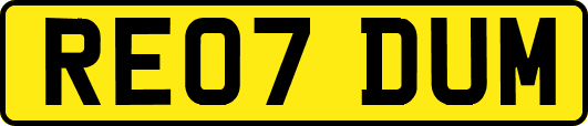 RE07DUM