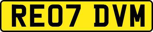 RE07DVM