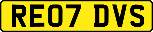 RE07DVS