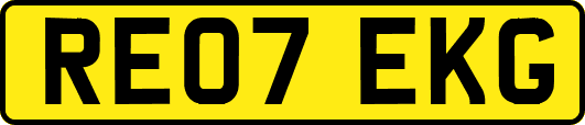 RE07EKG