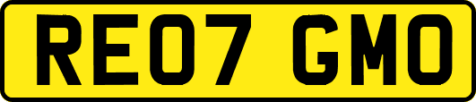 RE07GMO