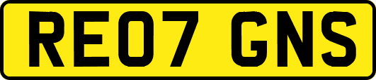RE07GNS