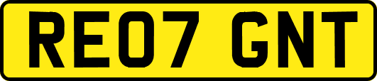 RE07GNT