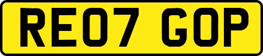 RE07GOP